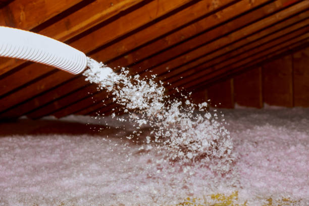 Best Residential Insulation in Shoreline, WA