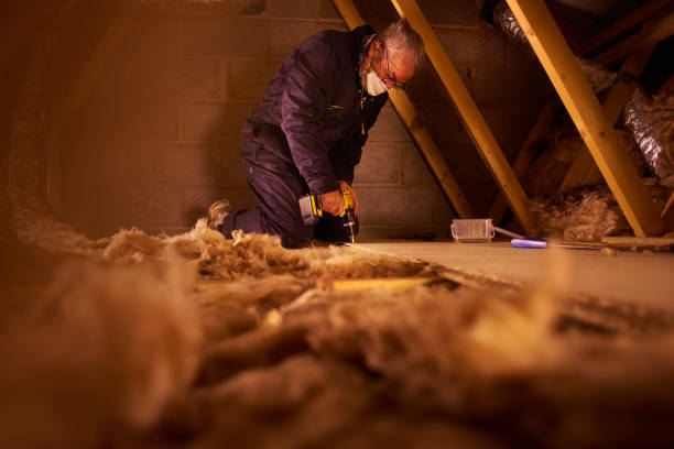 Best Residential Insulation in Shoreline, WA