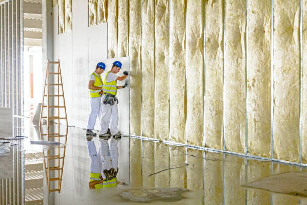 Best Energy Efficiency Solutions in Shoreline, WA
